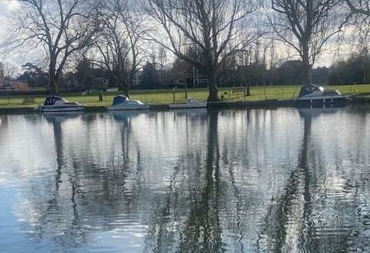 The seal was spotted on the stretch of Thames path opposite the Lensbury club, near Kingston (Image: Stuart Higgins)