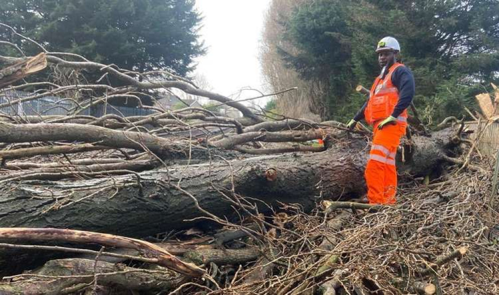 Kingston: SWR services were disrupted on Friday due to trees falling on the lines - including above at Ewell West (Image: Network Rail)