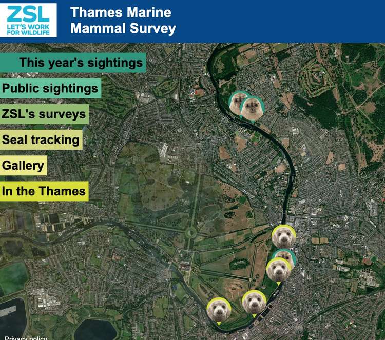 A ZSL map allows wildlife lovers to record their seal sightings