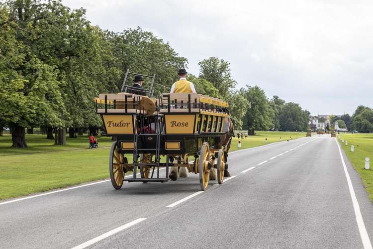 Traditional Shire horses will be offering rides through Bushy Park this Easter