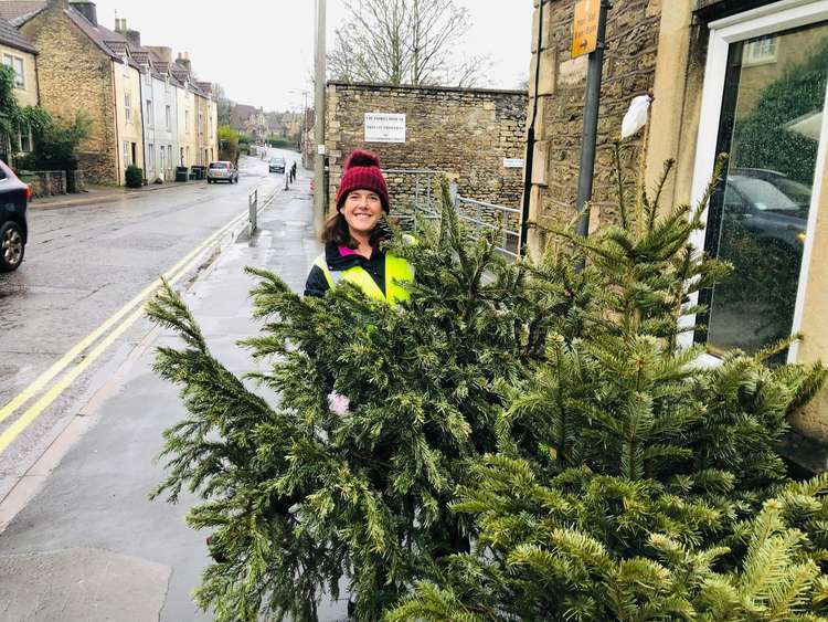 Thousands of trees were collected