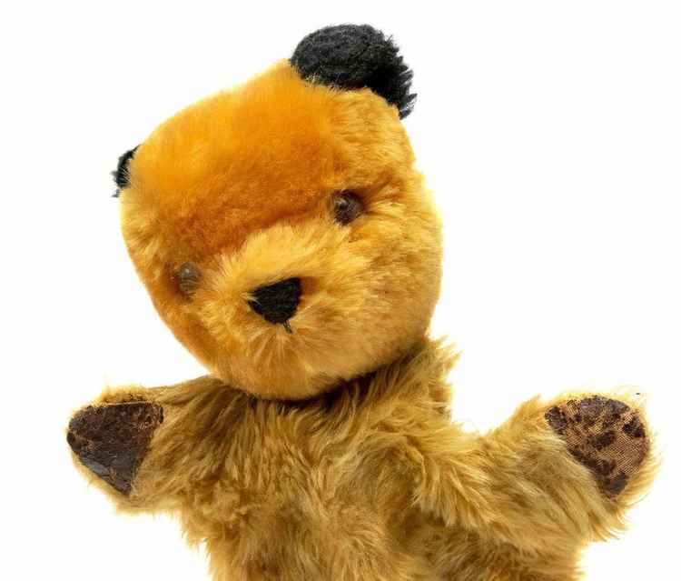 The original Harry Corbett Sooty given to Robin Vyrnwy-Pierce.