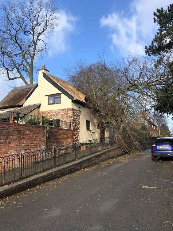 The tree crashed into the house in Hill Street. Photos: Ashby Fire Station