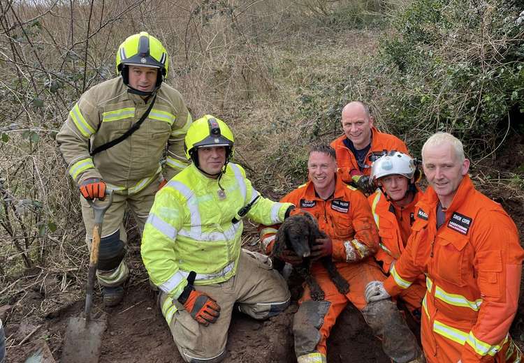 Coalville fire crew are all smiles after freeing the dog