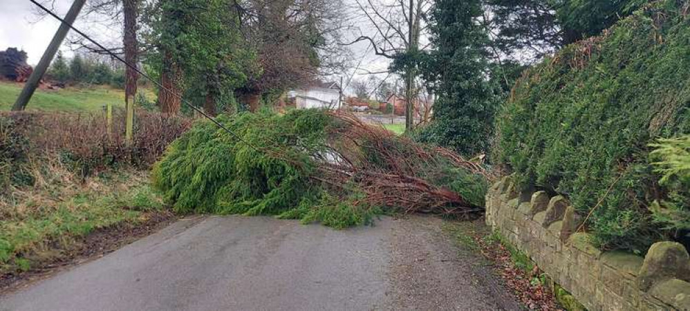 A fallen tree caused a power cut in Biddulph. Image credit: Chris Shore