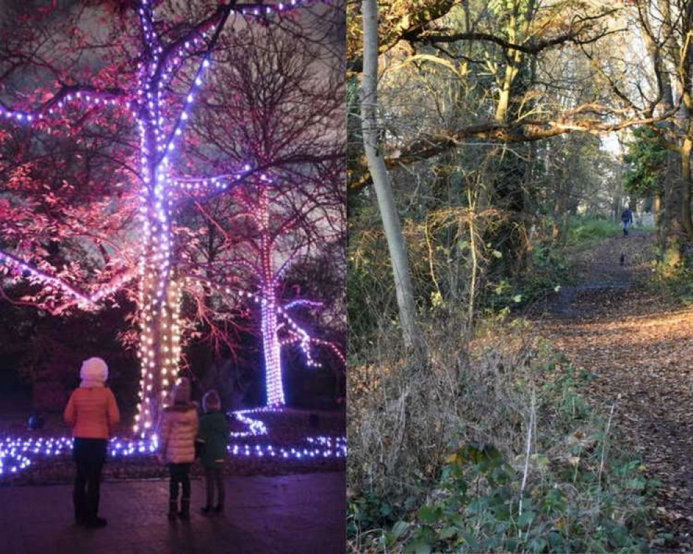 Events in nature this weekend around Brentford at Boston Manor Park and Kew Gardens.