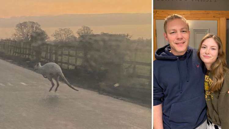 The wallaby was spotted by Harriet and her dad, Mark during the school run