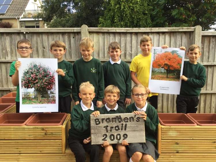 Members of Bridport Primary School's school council showing what the tree seeds will eventually grow into