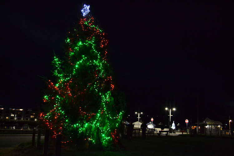 West Bay Days' Tree on the Green is back