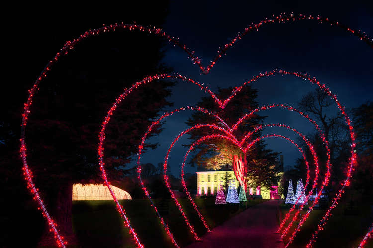 The illuminated Christmas trail at Kingston Lacy (Image: Sony Music)