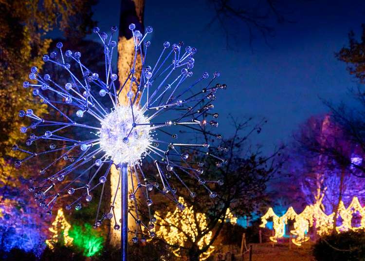 The illuminated Christmas trail at Kingston Lacy (Image: Sony Music)