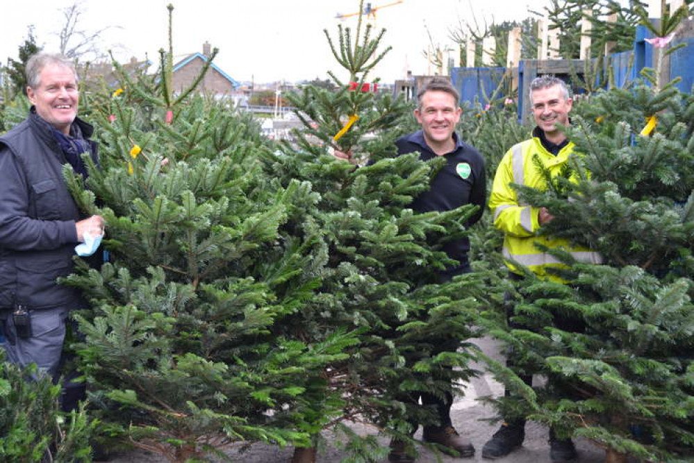 Groves Nurseries has had a fantastic response to its Christmas tree appeal