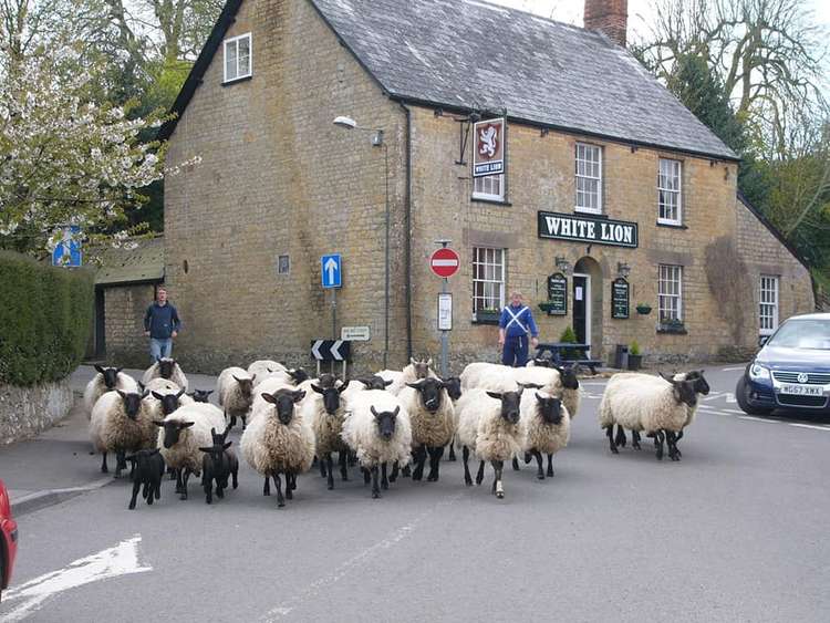 Campaign to save Broadwindsor's White Lion pub by having the village run it