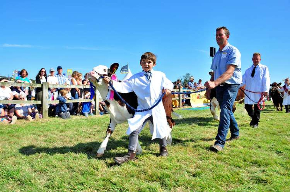 Here's hoping the Melplash Show will return to the West Bay Showground this year