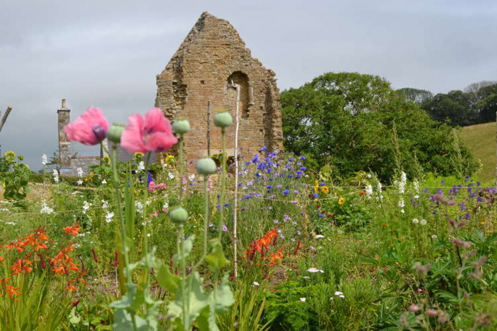 Pick your own Mother's Day bouquet with Abbey Farm Flowers