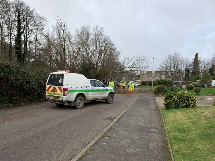 Lower Walditch Lane is currently closed due to a fallen tree