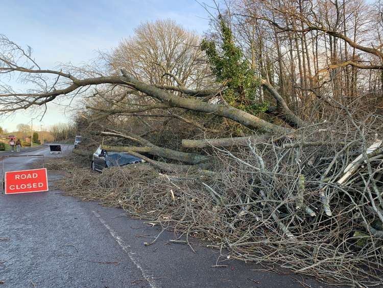 Car crushed by fallen tree in Lower Walditch Lane amidst Storm Eunice