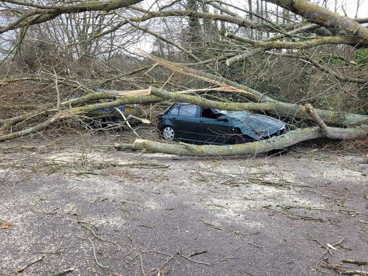 Cars crushed in Lower Walditch Lane