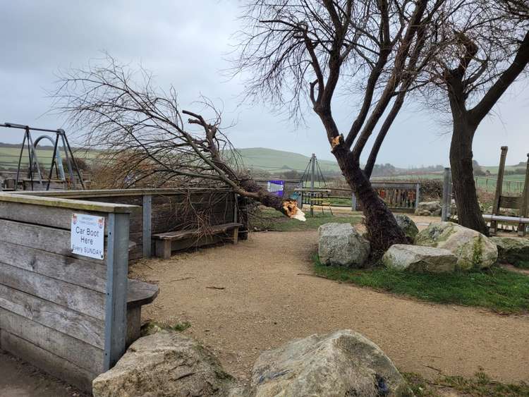 Fallen tree in West Bay Play Area