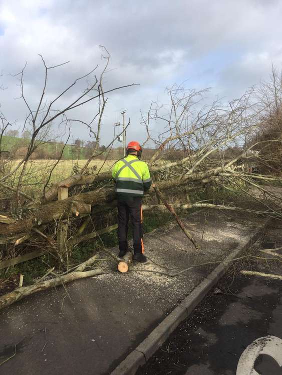 Town council staff removing fallen tree debris in Pymore Road