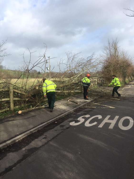 Town council staff removing fallen tree debris in Pymore Road