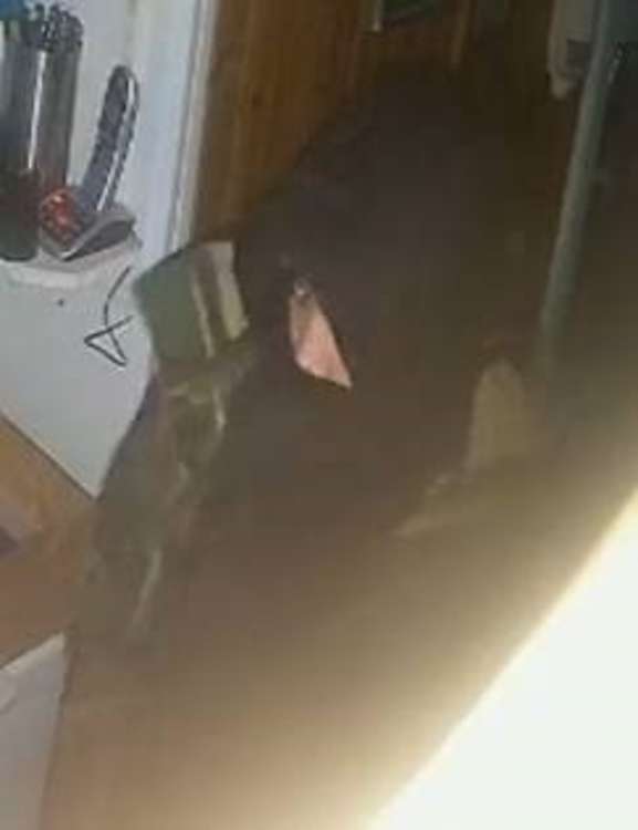 Police have released CCTV images after a burglary at the Watch House Cafe in West Bay