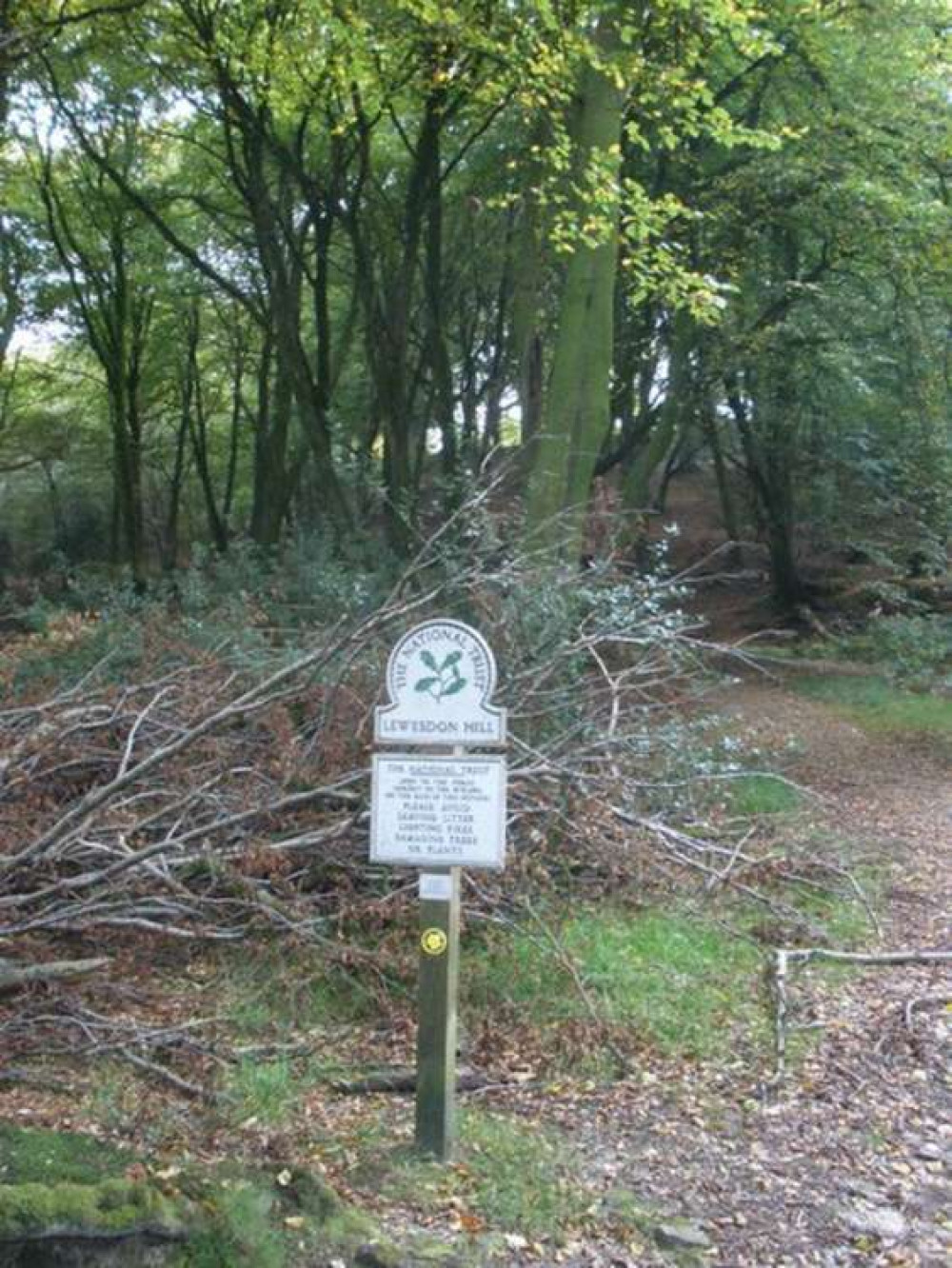 A memorial for The Forgotten Pilot of Lewesdon Hill is to be unveiled by the National Trust and dairy farmer Andrew Frampton (Image: Roger Cornfoot)