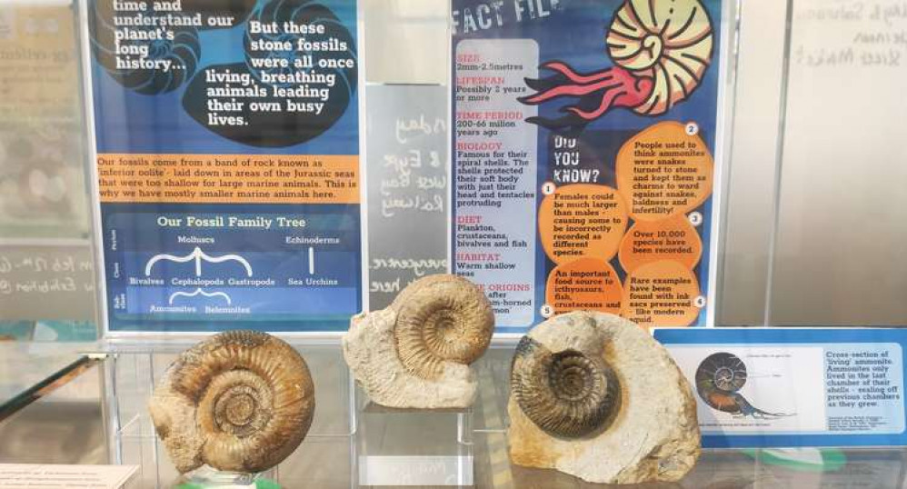 West Bay Discovery Centre is open six days a week and is showcasing a new pop-up exhibition, 'Buried in Time'