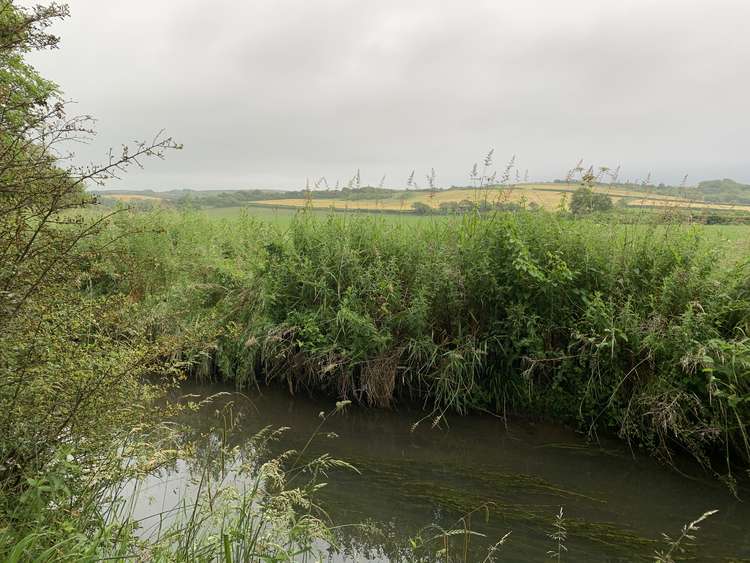 Walks to enjoy with family, friends or the dog in and around Bridport