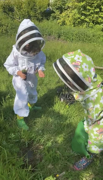 Symondsbury Primary School is raising money for children's bee suits and hive