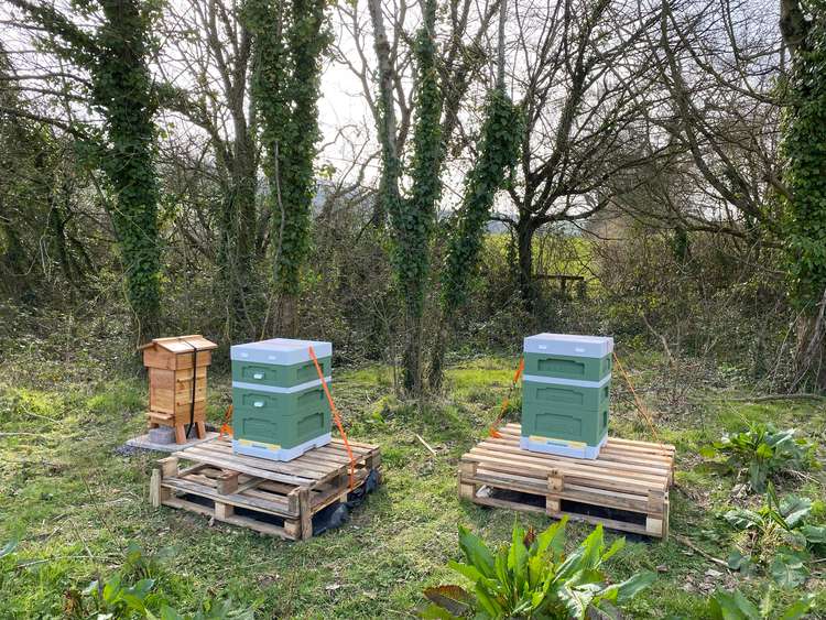 Symondsbury Primary School is raising money for children's bee suits and hive