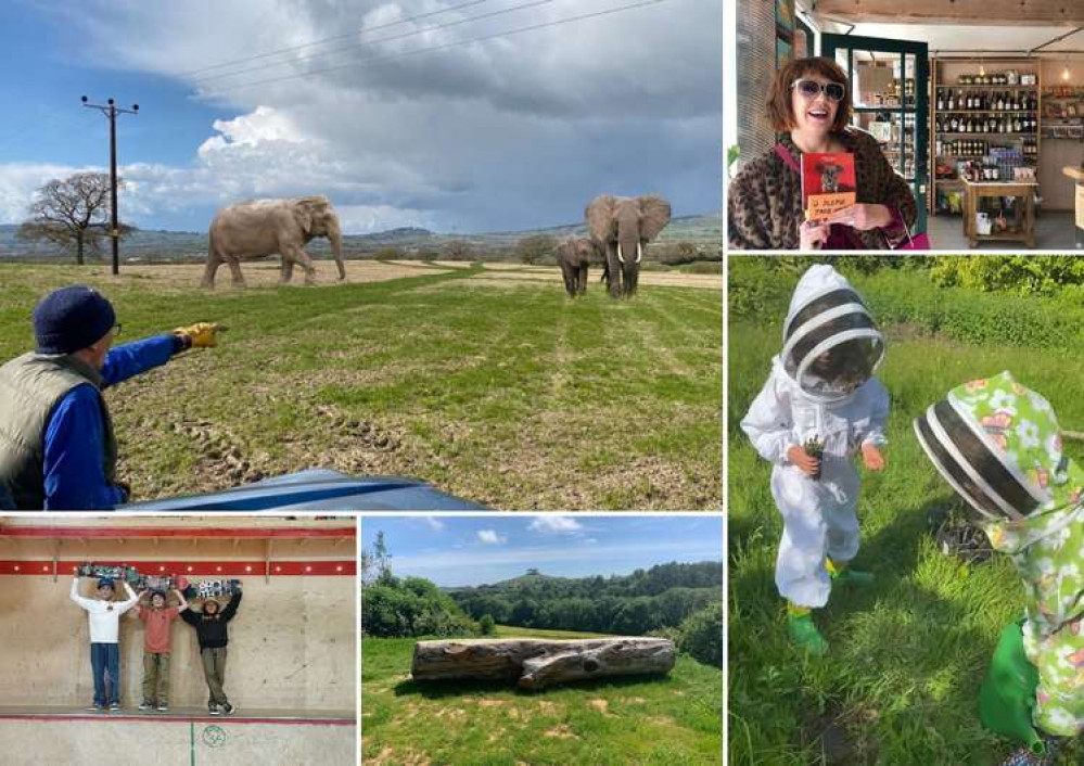 Top five stories on Bridport Nub News this week