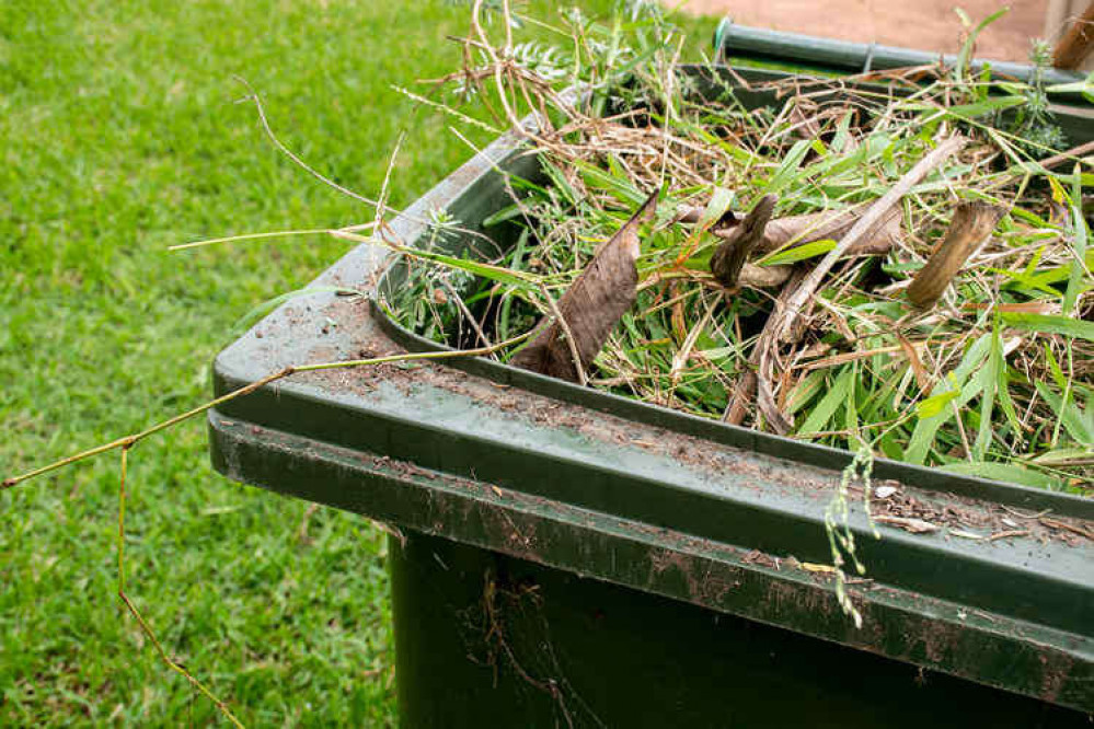 The council plans to introduce charges for the additional bins