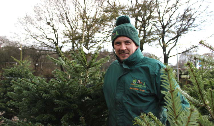 Daniel Thornicroft is selling Christmas trees to Congleton at his family farm for the first time ever this year.