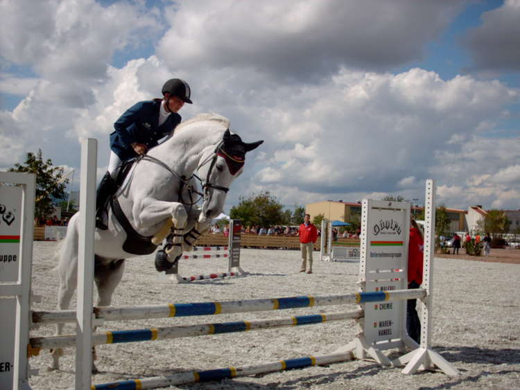 Competitive showjumping will take place in a Congleton parish. (Image - CC 3.0 Nordelch Unchanged bit.ly/3qns6Zt)