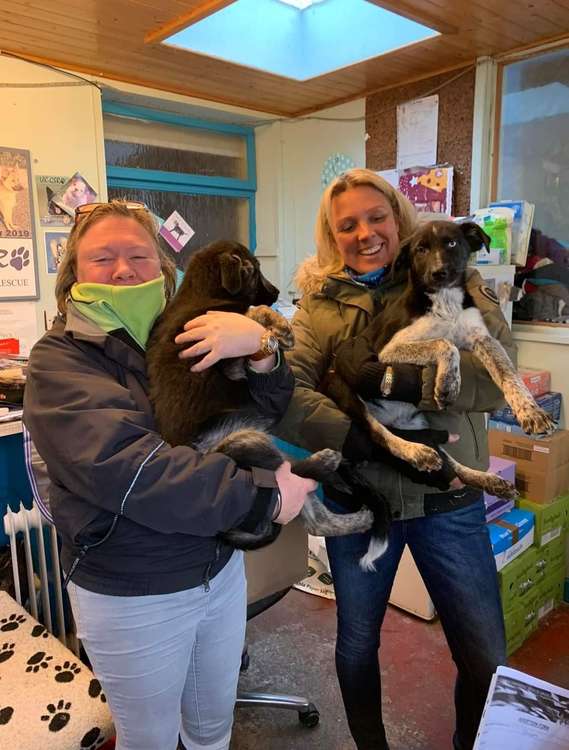 In happier times: Storm and Charlotte on the right, and Charlotte's friend Karen Watson on the left with Magic. Just hours later, tragedy would strike.