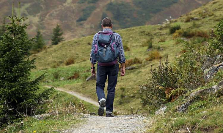 John has arranged charity walks for the past 31 years.