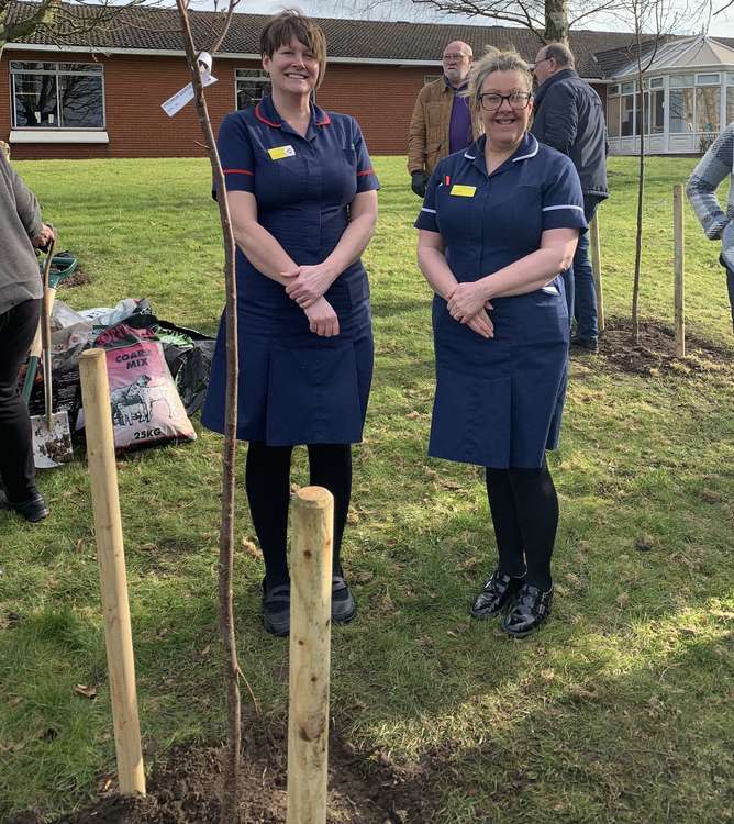 Congleton War Memorial Nurses - Jo Hodgkinson and Carol Bailey with the new tree.