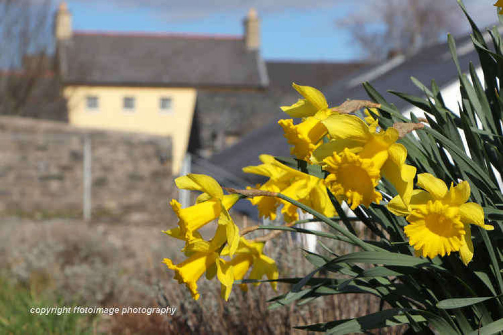 Light clouds will begin the day with a 10% chance of rain by 10:00. (Image credit: Glyn Evans)