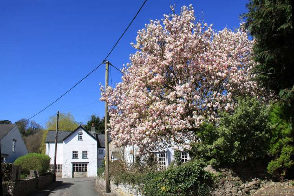 Sunshine will start the day from 08:00 and continue throughout the morning. (Image credit: Ben Salter) Sunshine will start the day from 08:00 and continue throughout the morning. (Image credit: Ben Salter)