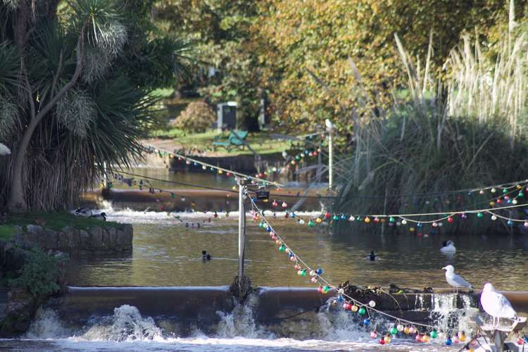 Dawlish Water (Nub News, Will Goddard)