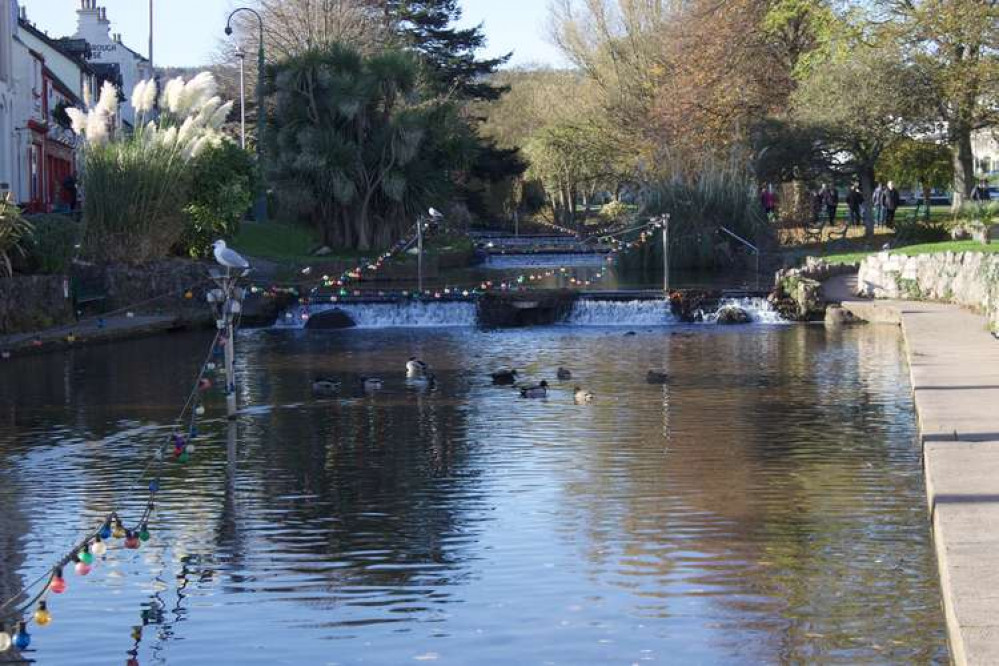 Dawlish Water (Nub News, Will Goddard)