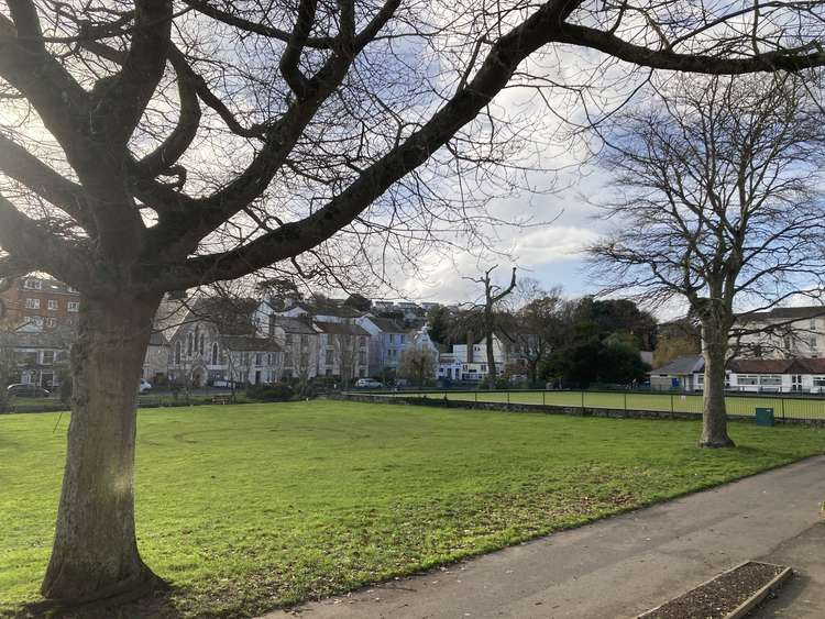 Dawlish Lawn (Nub News, Will Goddard)