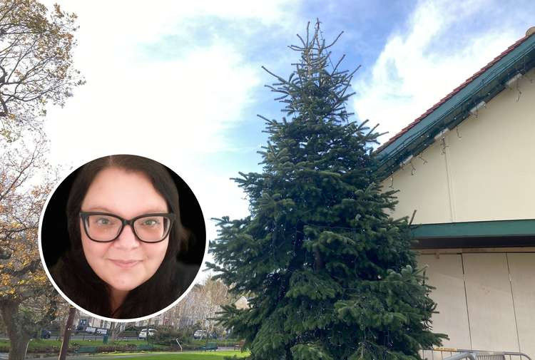 The Christmas tree on the bandstand on Dawlish Lawn. Inset: Rosie Dawson