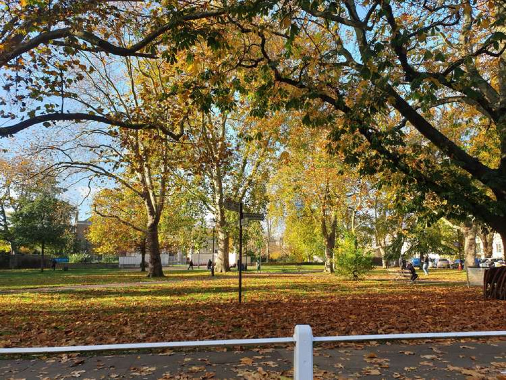 Leaf fall and sun in Ealing Green yesterday.