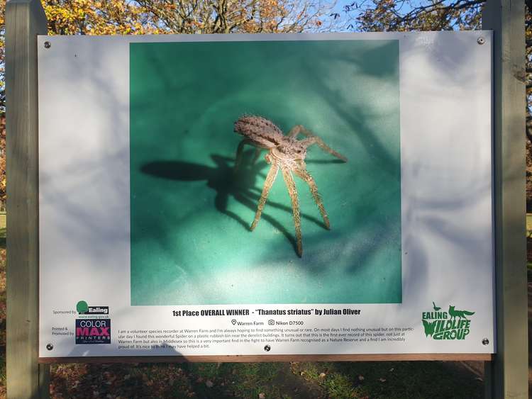 The overall winner was a photo of a rare spider and the first recording in Middlesex.