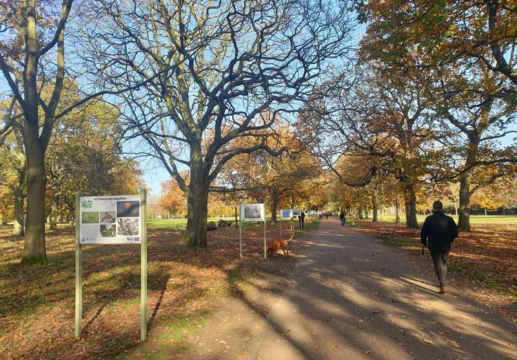 The Ealing Wildlife Competition exhibition will be at Walpole Park until the new year.