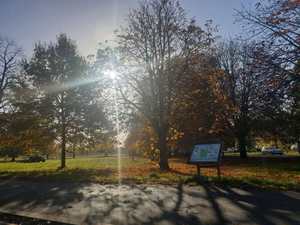 Ealing Common in the sun.