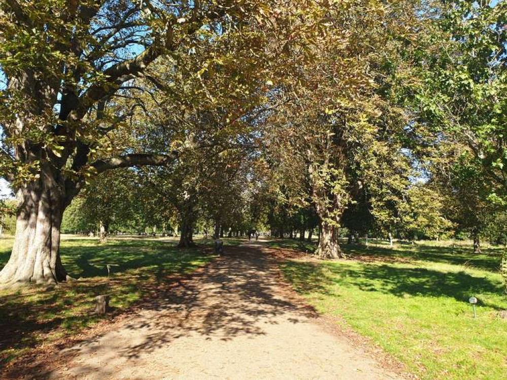 A more autumnal Walpole Park.