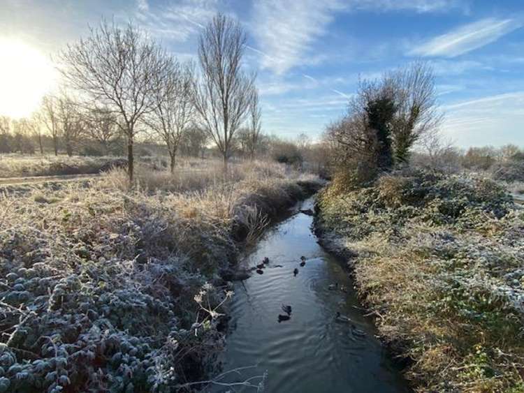 Pictures taken by Ealing Parks Foundation trustee last week. (Image: Jane Fernley)